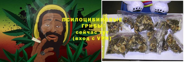 spice Богданович